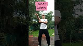 Forma 13 estatico