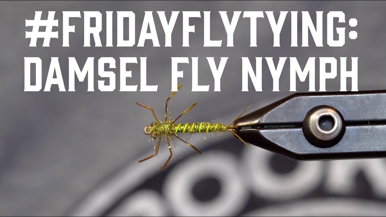 FRIDAYFLYTYING: Damsel Fly Nymph 