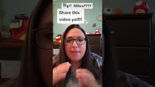 What are meth mites?