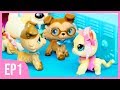 LPS: Outsiders Musical - Episode 1 "What's It Like?" (Littlest Pet Shop Series)