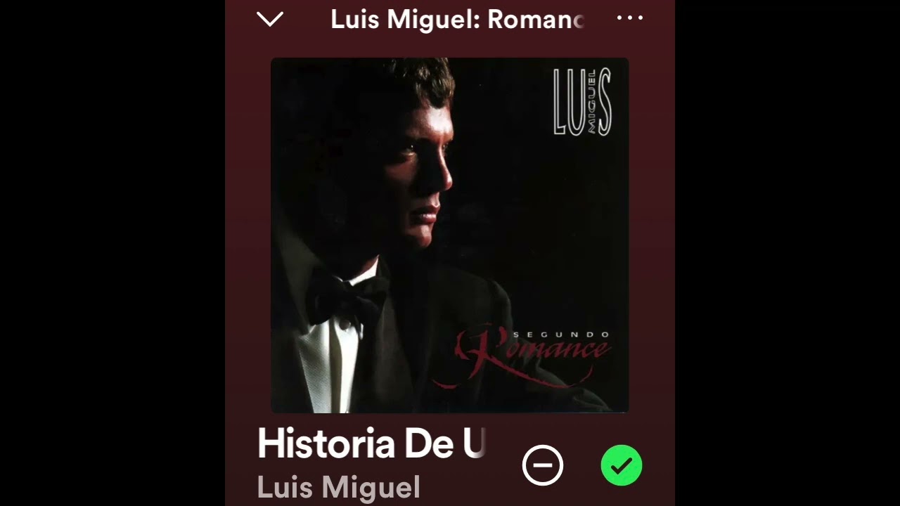 Historia De un Amor Pista Profesional Luis Miguel