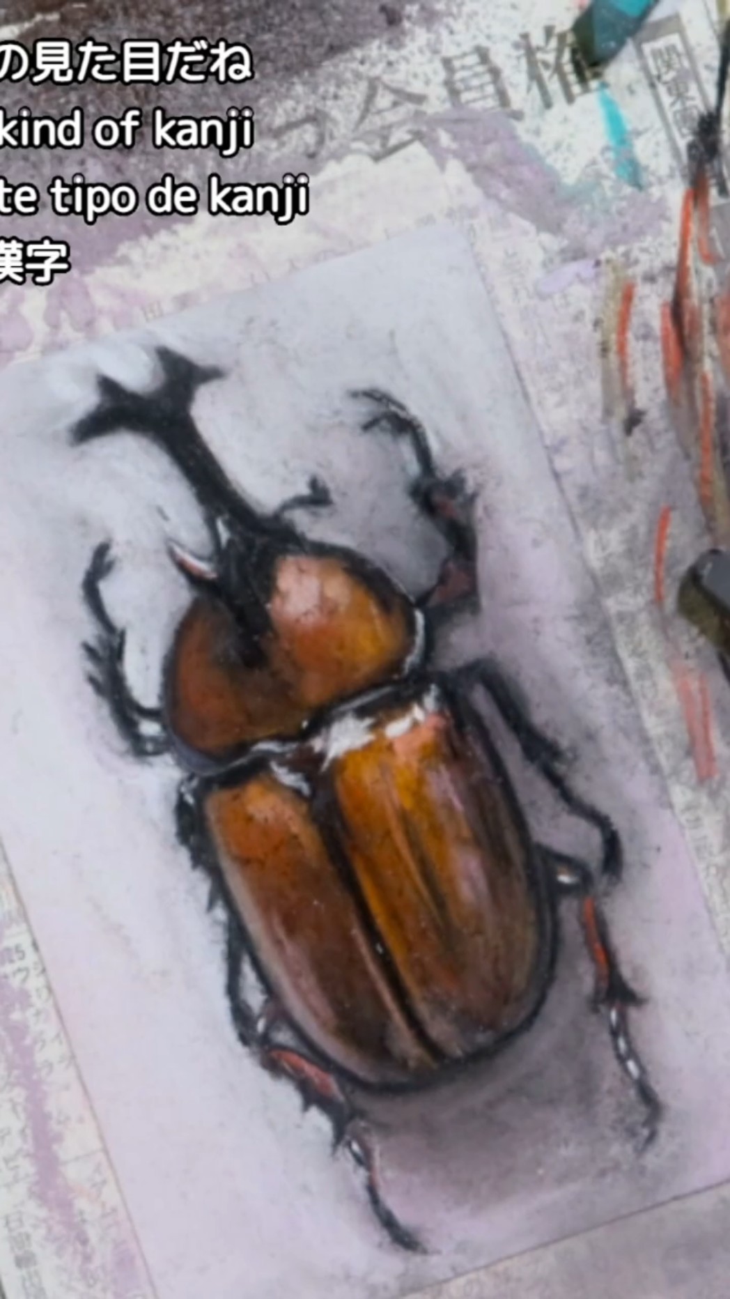 カブトムシイラスト完成過程 / Full Kabuto Beetle Illustration