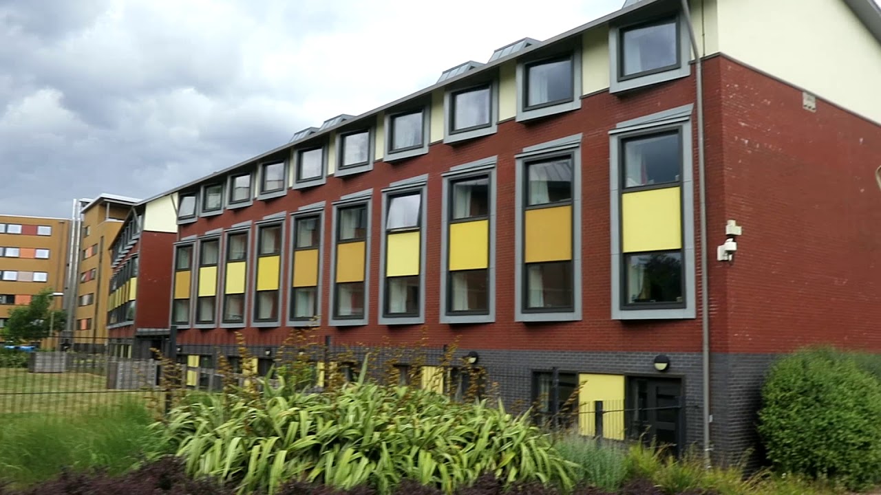 What is Pharmacy at Reading like?