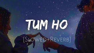 Tum Ho💜 [Slowed Reverb] - @MohitChauhan  | Lyrics | MoonVibes