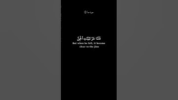 فلما قضينا عليه الموت ما دلهم على موته    |  محمد صديق المنشاوي   |  كرومات سوداء القرآن الكريم