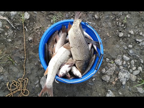 თევზაობა ალაზანზე