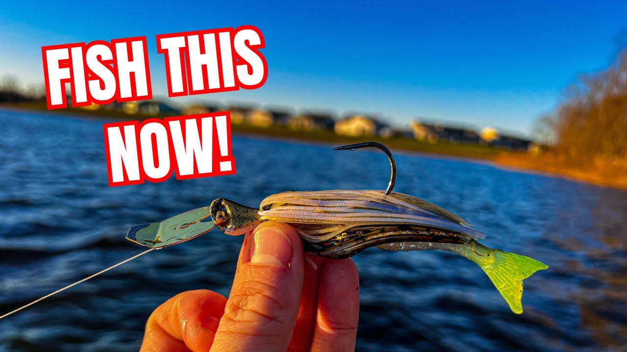 Kayak Fishing For Late Fall Bass and Gator Pike! Bass Manager The