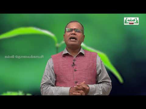 NEET BOTANY  PLANT GROWTH AND DEVELOPMENT Kalvi TV