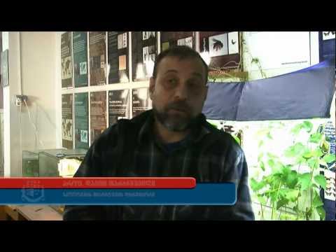 გენეტიკის კვლევა