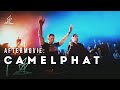 Camelphat 2020 official aftermovie  label project tv