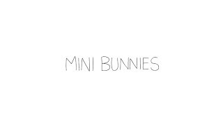 Mini Bunnies - Christmas Lights