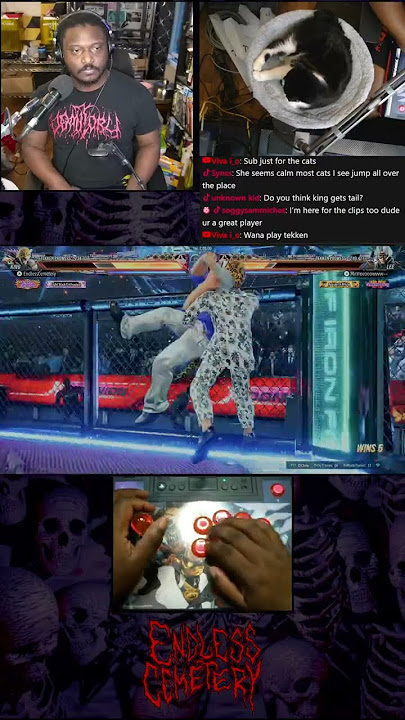 I Really Made This Lee Plug #Tekken8 #Gaming #EndlessCemetery #TeamHailey