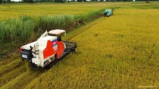 Panen Padi Profesional dengan Kerja Sama Tim yang Aman Menggunakan KUBOTA DC08X dalam Aksi