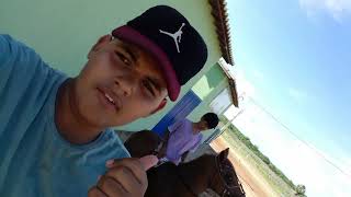 Égua Safira Correndo Prado É Show Papai.