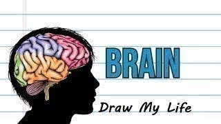 Draw My Life Brain