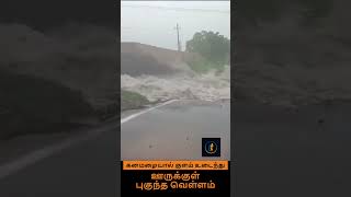 கனமழையால் குளம் உடைந்து ஊருக்குள் புகுந்த வெள்ளம்#Nellairains #Nellai #thirunelveli #truetamil