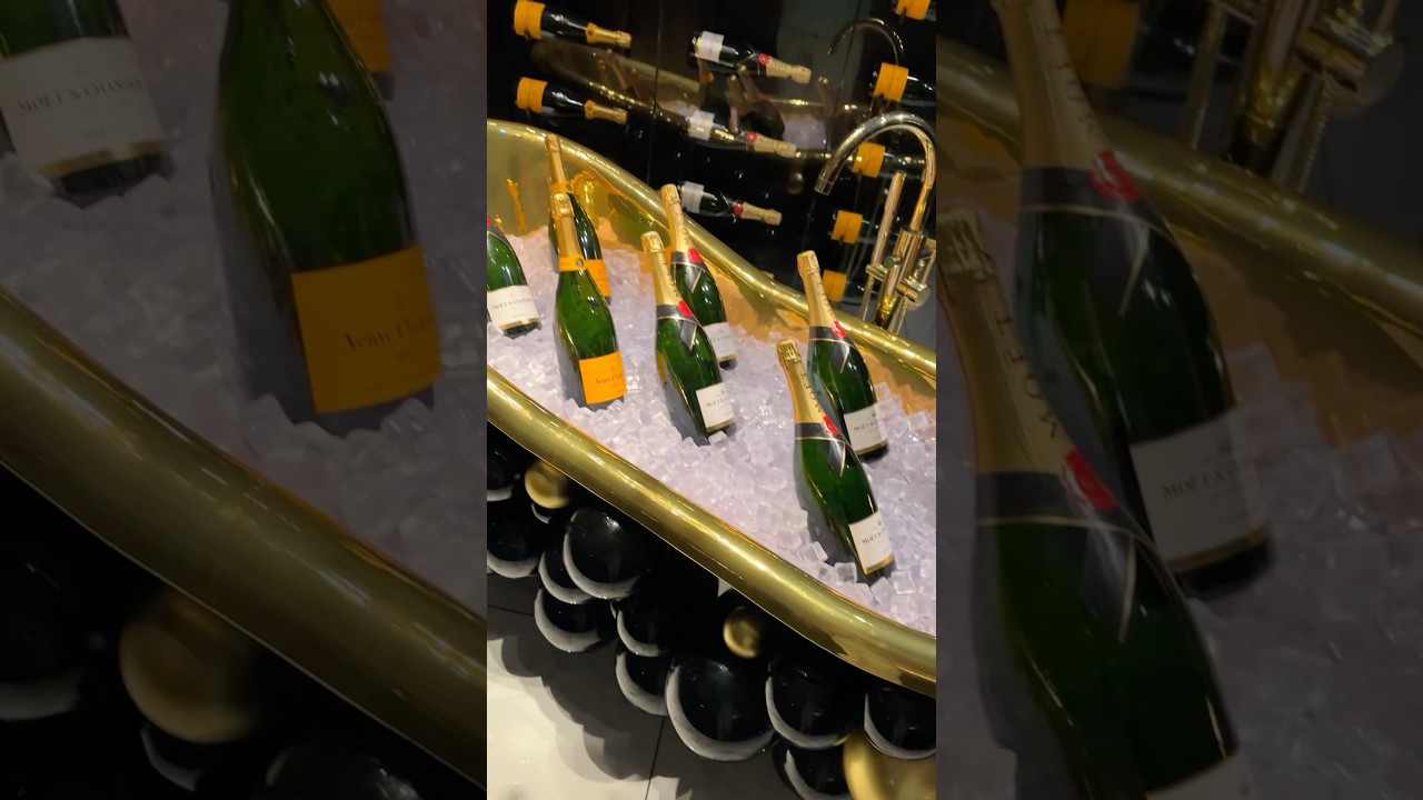 Ночная жизнь Желтобрюха 