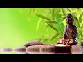 Meditation sounds of reiki sports meditation health original healing therapy music