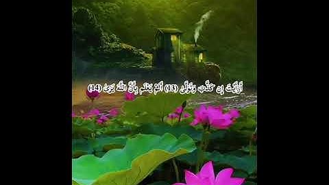 إبداع وتألق الشيخ محمد الليثى 💙 من سورة العلق 💙
