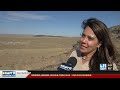 BLM gathers wild horses near Glenns Ferry to address overpopulation