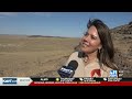 BLM gathers wild horses near Glenns Ferry to address overpopulation