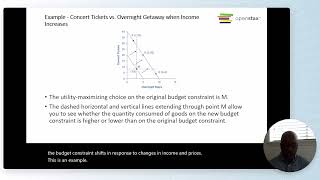 Chapter 6 - Consumer Choices