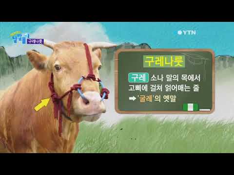 재미있는 낱말풀이 80회 구레나룻