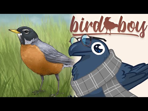 Putar Robin (feat. Bird Boy) - Dj Cutman