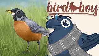 Bird Boy ▸ Robin ( chill beat to watch birds to )