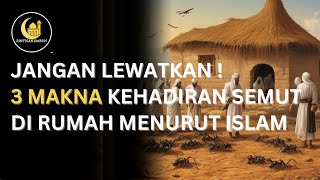 Keajaiban Semut dalam Islam: Tanda Rezeki dan Keberkahan di Rumah Anda