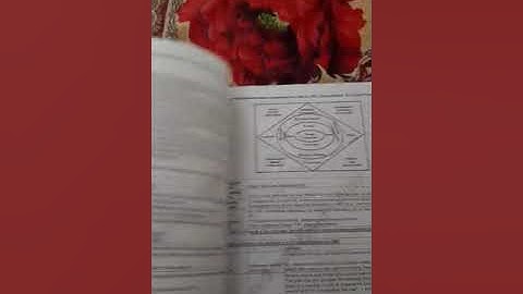 NTA UGC NET Best Books paper 1 and 2 for JRF by Navdeep Kaur