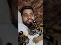 पहली बार Baby Tiger को इतना करीब से देखा! 🐯❤️. #shorts #youtubeshorts