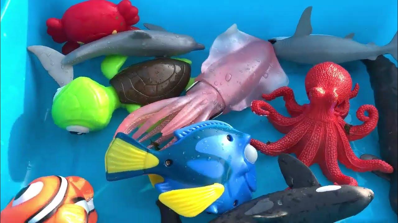 Sea Animal Toys for Kids with Fun Facts and Names in English - YouTube