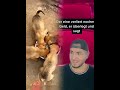 #comedy#parody#schneewitchen#PrimeLife#Pool#schauspieler#makeup#kultur#funn#karneval2025