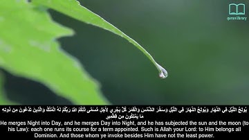 سورة فاطر   ياسر الدوسري   مترجم Surah Faatir   Quran  English subtitles