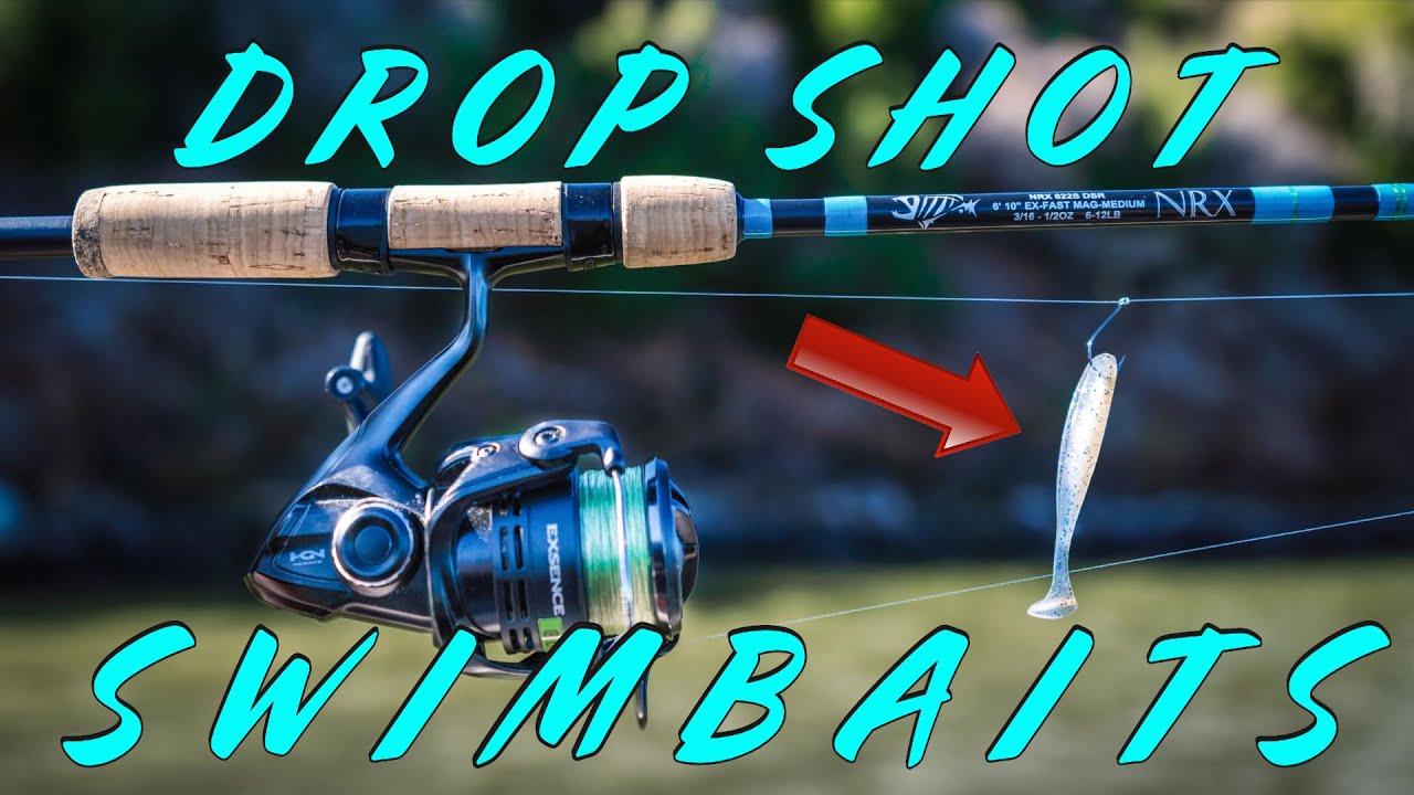 The Best Dropshot Trick For Fall Bass! 