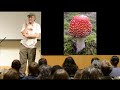 Lawrence Millman | Amanita muscaria & mushrooms of Siberia