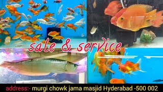 Hyderabad Aquarium Sale And Service | Murgi Chowk Aquarium Shop | Hyderabad Aquarium Fish Market |