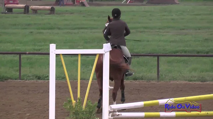 097S Tina Hoover Preliminary Rider Show Jumping Tw...