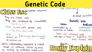 Genetic Code | Triplet Codes | Codon | Class 12