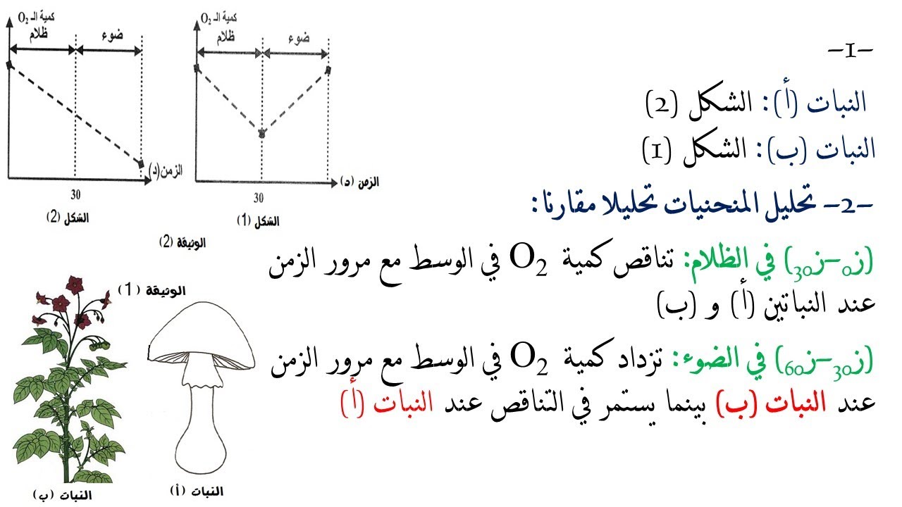 تمارين فروض واختبارات الفصل الثاني علوم طبيعية السنة الاولى ثانوي | 03