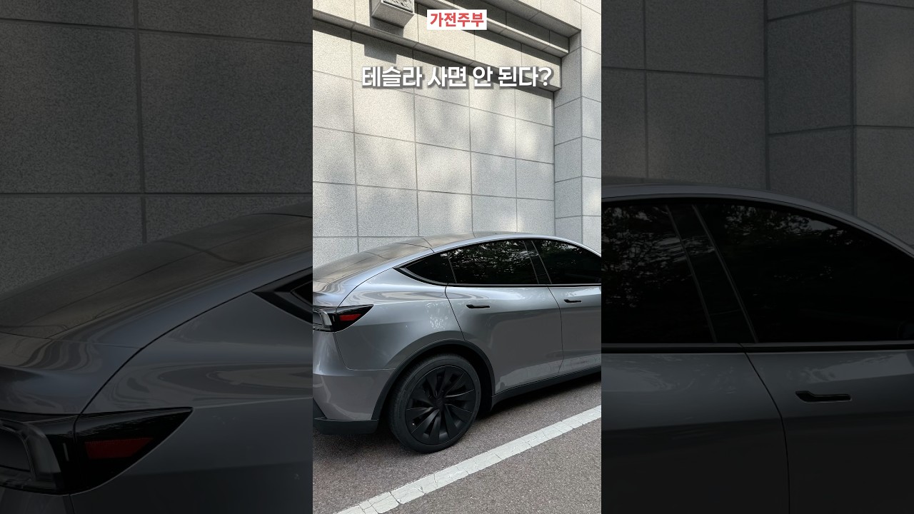 테슬라 사면 안 되는 사람들