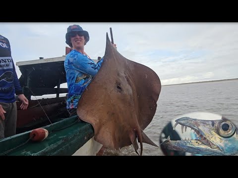 Longnose Stingray Fishing in Suriname - Braamspunt beach