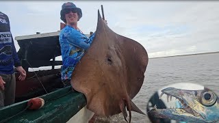 Download Lagu Langneusroggenvissen in Suriname - strand Braamspunt MP3