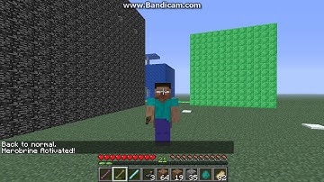 Minecraft Mod Review: Shape Shifter Z Part 3! (Final)