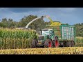 Claas Jaguar 940 eats 10 rows of maize! / Chopping corn by Paul Lüpken Lohnunternehmen / 2021