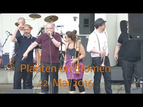 Jonkanoo - live immer eine große Party