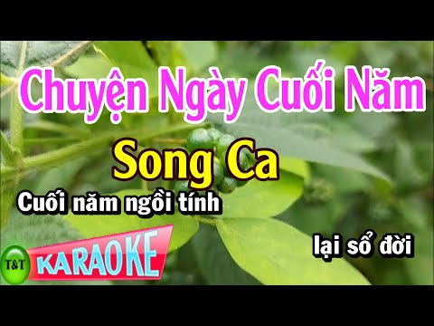 Karaoke Chuyện Ngày Cuối Năm Song Ca | Thái Tài