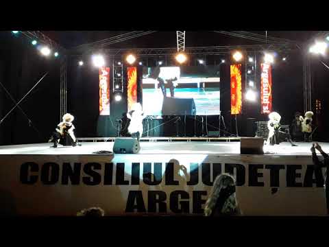 ანსამბლი \"ბოლნელი\". ცეკვა - \"მოხეური\"