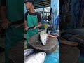Amazing fresh yellowfin tuna cuttting skills #fish #talon #fishing #tuna_fish_cutting  #fyp
